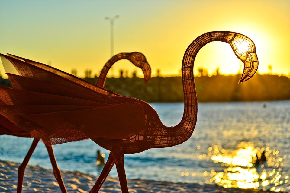 Flamingo Sculptre Exhibited in sculpture by the sea