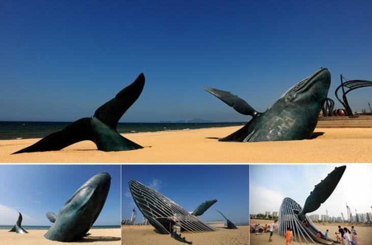 Golden Sands Dolphin Contemporary Sculpture