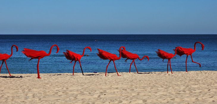 installation of the Red Flamingo sculptures, stainless steel mesh  sculpture by the sea 