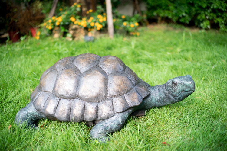 bronze turtle sculpture