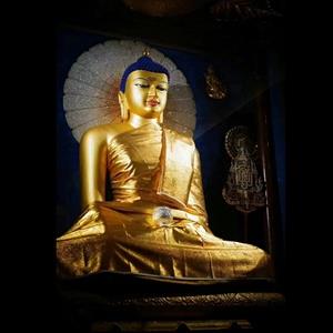 Customize Tibetan Buddhist Shakyamuni Statue