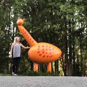 Painting Stainless Steel Giraffe Sculpture