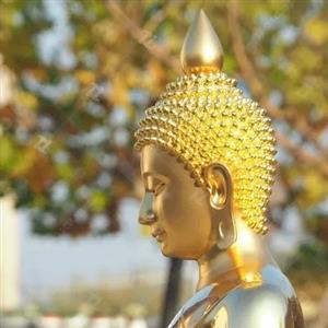 Large Gold Leaf Thailand Gold Buddha Statue 1m High Medium Size